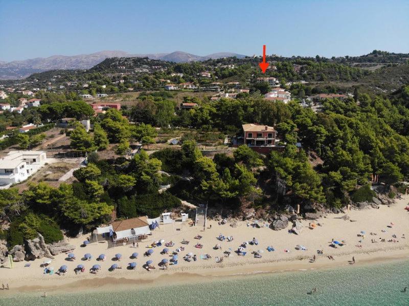 Anna'S Studios Argostoli  Exterior photo